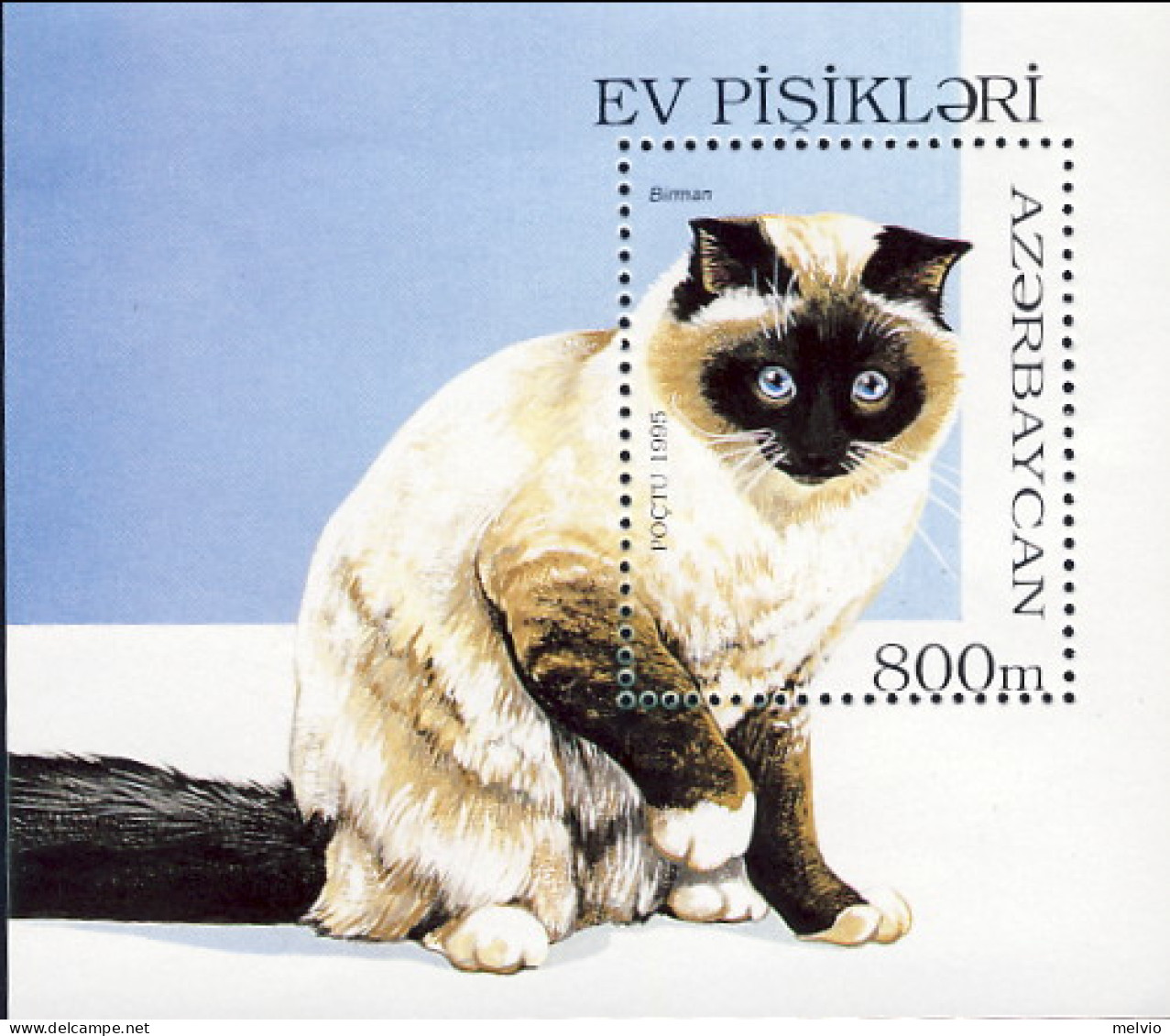 1995-Azerbaijan (MNH=**) S.6v.+foglietto "gatti"catalogo Euro 10 - Azerbaiján