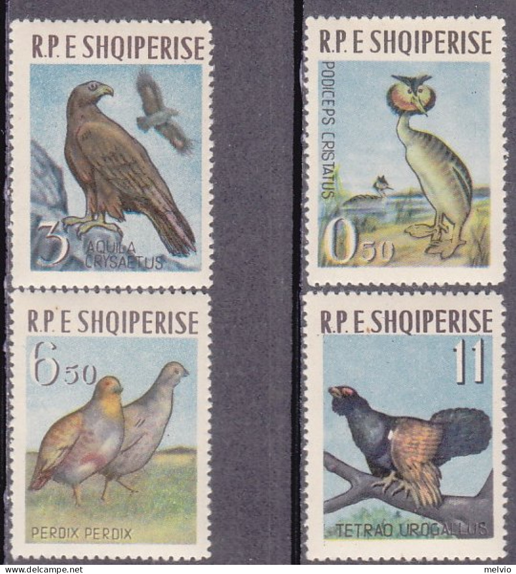 1963-Albania (MNH=**) S.4v."uccelli"catalogo Yvert Euro 23 - Albanie