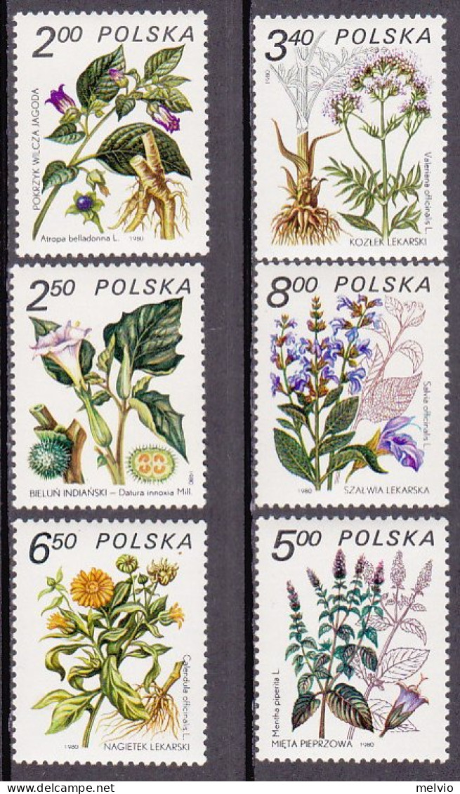 1980-Polonia (MNH=**) S.6v."Piante Medicinali"catalogo Yvert Euro 3,5 - Sonstige & Ohne Zuordnung