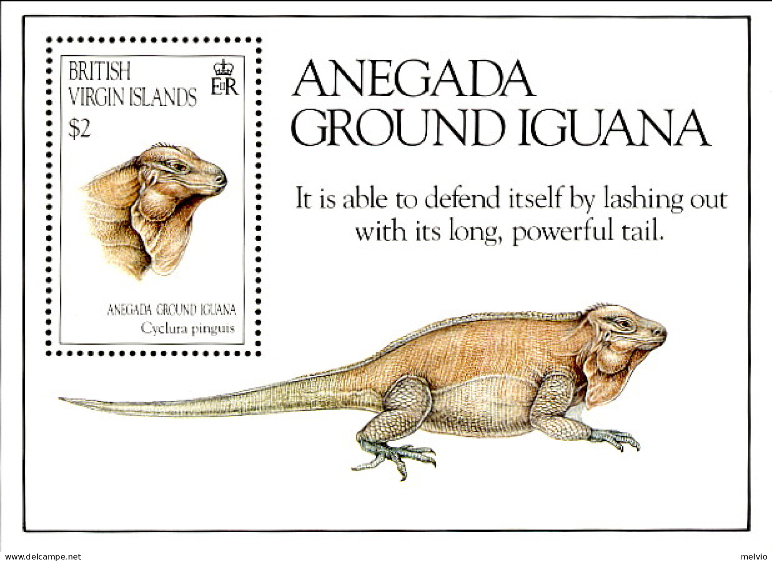 1990-Isole Vergini (MNH=**)foglietto 1v."Protezione Della Natura,iguana" - Iles Vièrges Britanniques
