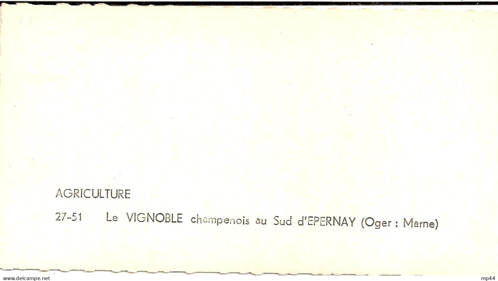 3H10 --- 51 Le Vignoble Champenois Au Sud D'EPERNAY - Epernay