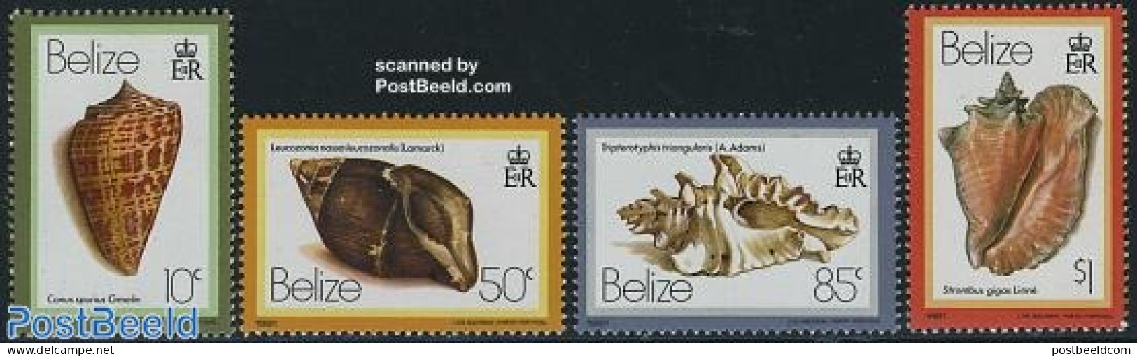 Belize/British Honduras 1981 Shells 4v (with Year 1981), Mint NH, Nature - Shells & Crustaceans - Vie Marine