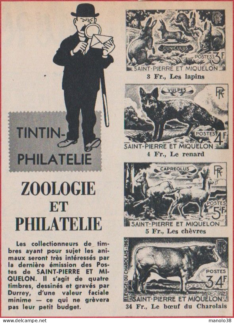 Zoologie Et Philatélie. Tintin Philatélie. Timbres De Saint Pierre Et Miquelon. Lapin, Loup, Chèvre, Bœuf. 1964. - Historische Documenten