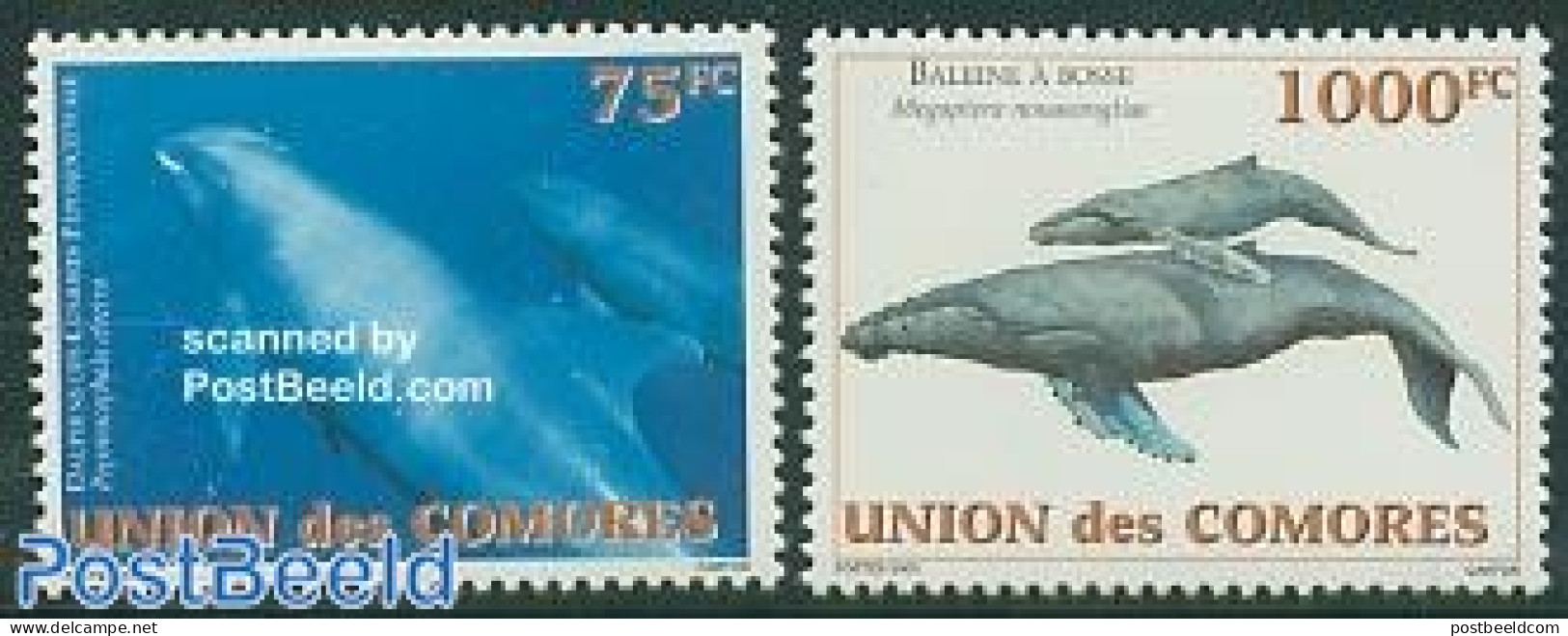 Comoros 2003 Whales & Dolphins 2v, Mint NH, Nature - Sea Mammals - Comoren (1975-...)