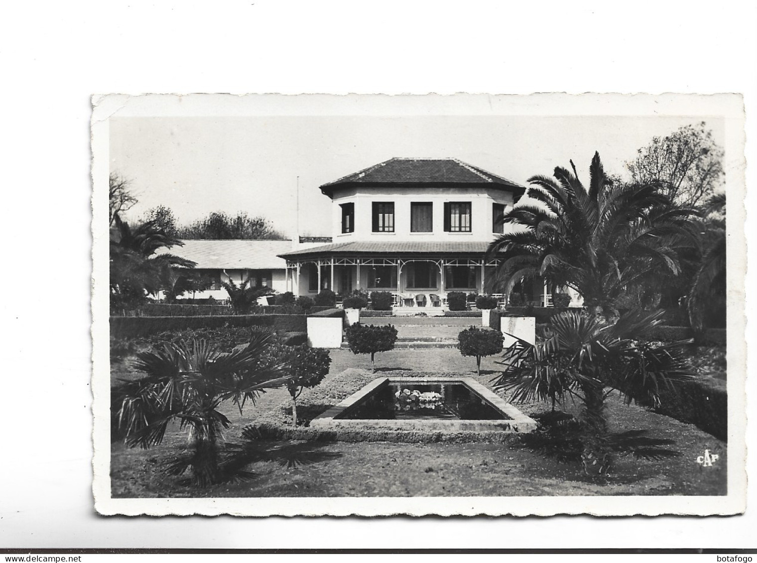 CPA POTO TLEMCEN , JARDIN DE L HOTEL TRANSATLANTIQUE , (voir Timbre Et Flamme) - Tlemcen