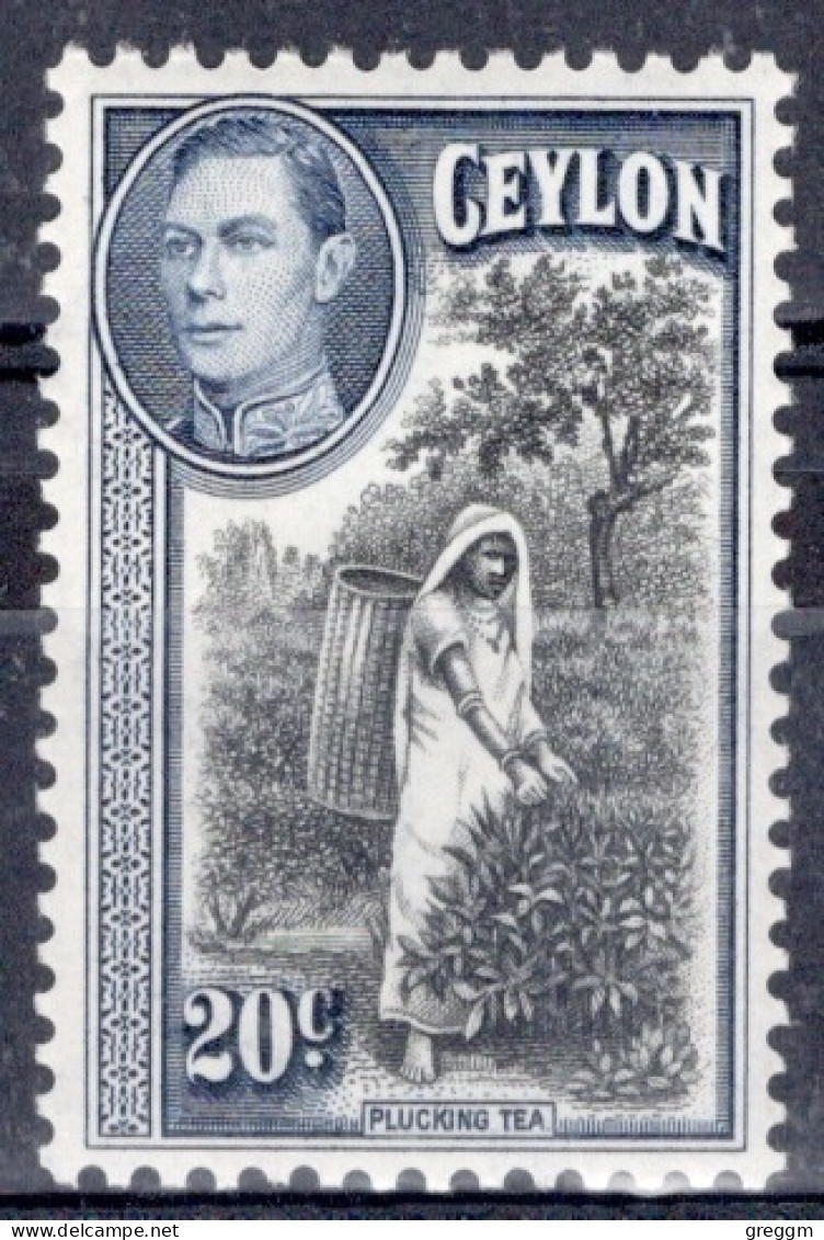 Ceylon 1938  George VI  single 20c Stamp  Issued As Part Of The Definitive Set In Mounted Mint - Ceylon (...-1947)