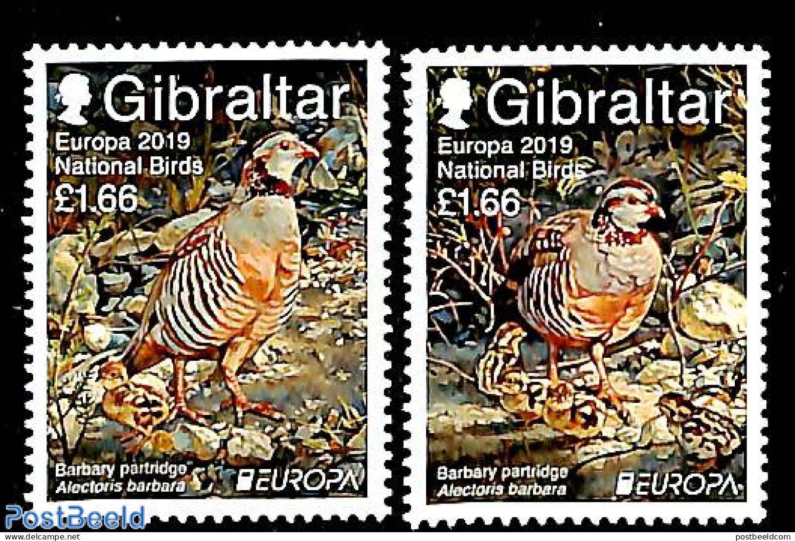 Gibraltar 2019 Europa, Birds 2v, Mint NH, History - Nature - Europa (cept) - Birds - Gibraltar