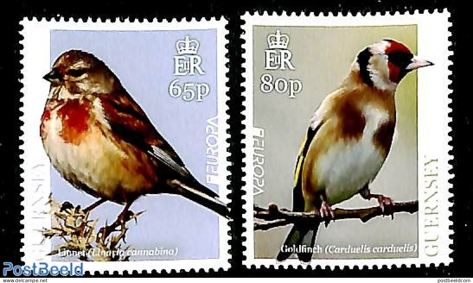 Guernsey 2019 Europa, Birds 2v, Mint NH, History - Nature - Europa (cept) - Birds - Guernsey