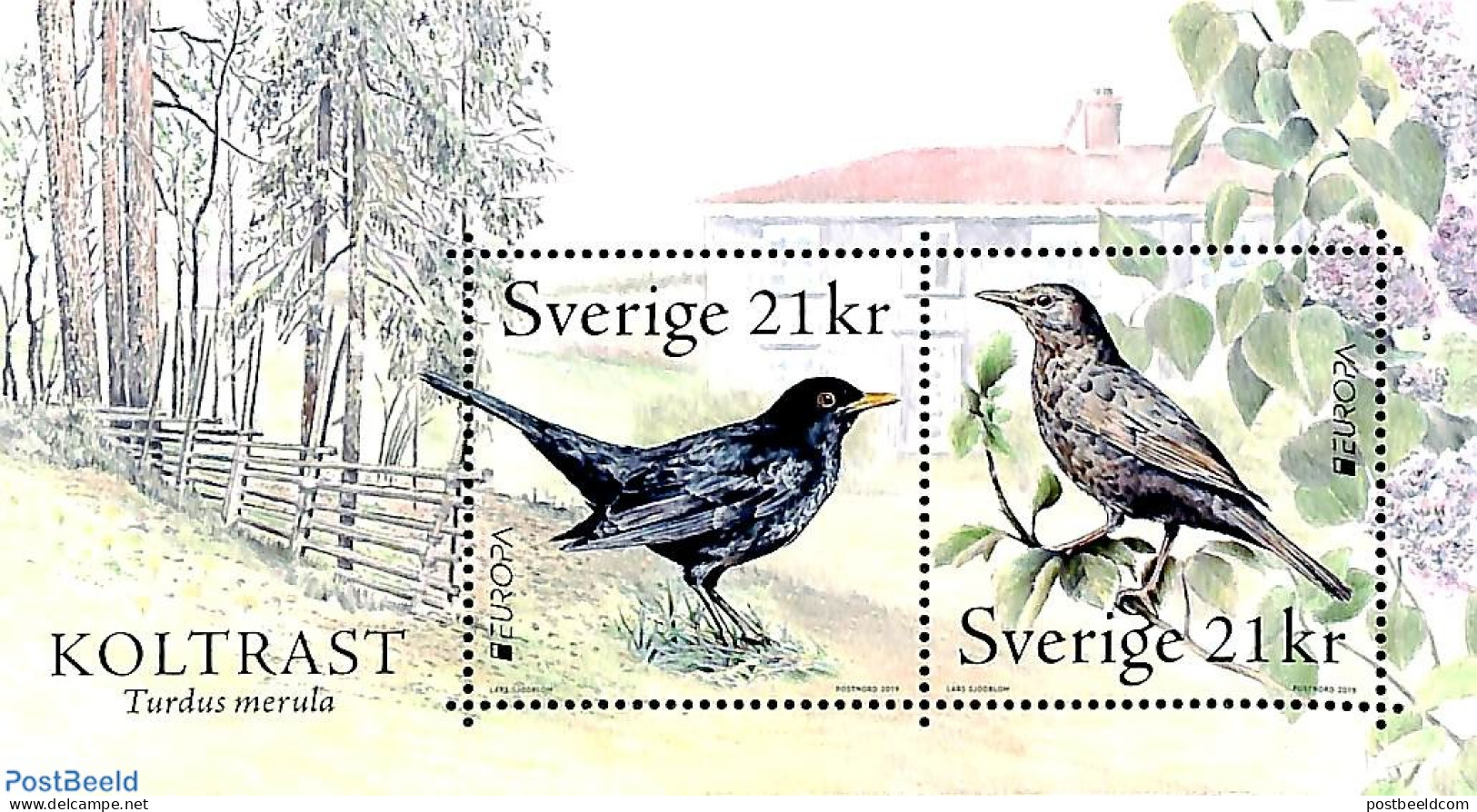 Sweden 2019 Europa, Birds S/s, Mint NH, History - Nature - Europa (cept) - Birds - Ungebraucht