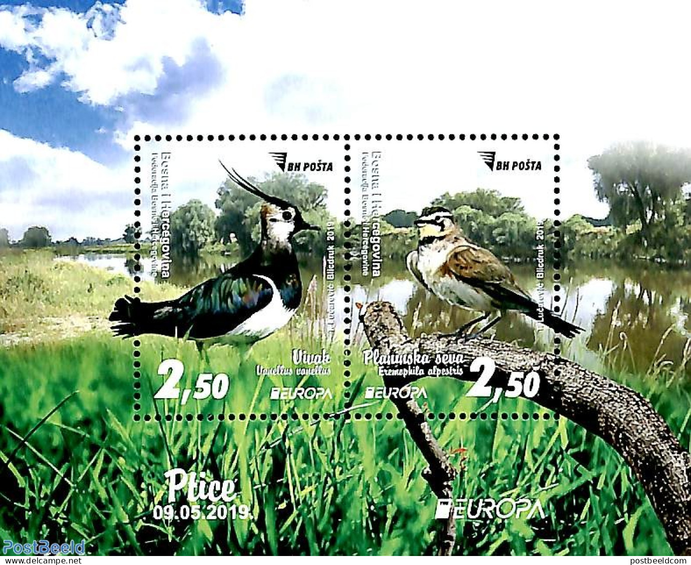 Bosnia Herzegovina 2019 Europa, Birds S/s, Mint NH, History - Nature - Europa (cept) - Birds - Autres & Non Classés