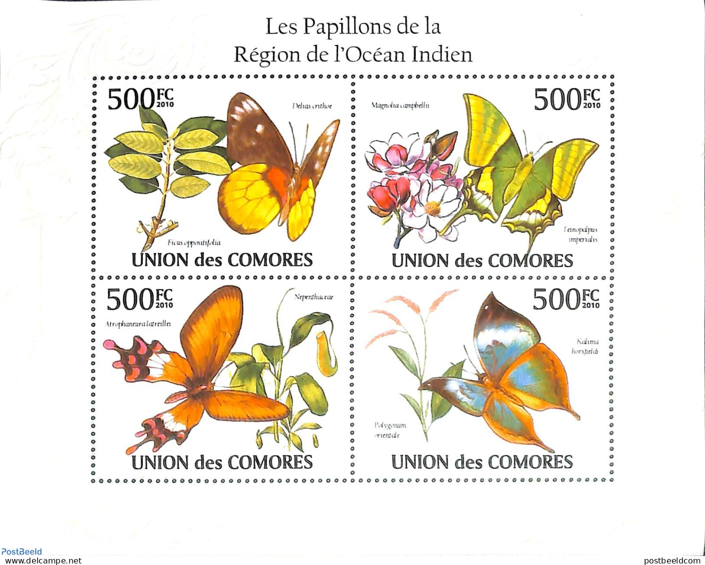 Comoros 2010 Butterflies 4v M/s, Mint NH, Nature - Butterflies - Comoros