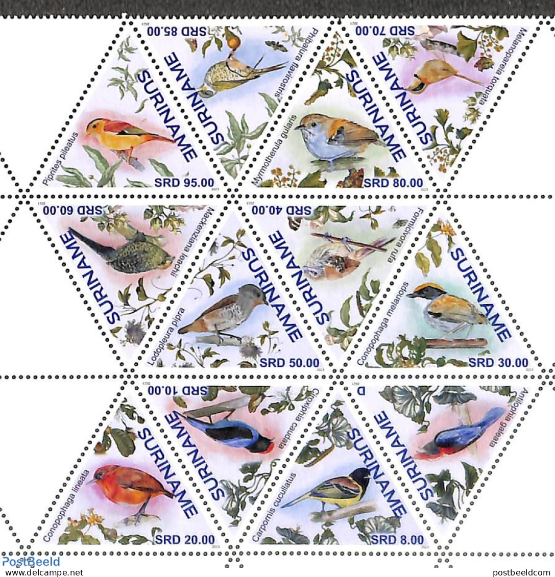 Suriname, Republic 2023 Birds 12v, Sheetlet, Mint NH, Nature - Birds - Surinam