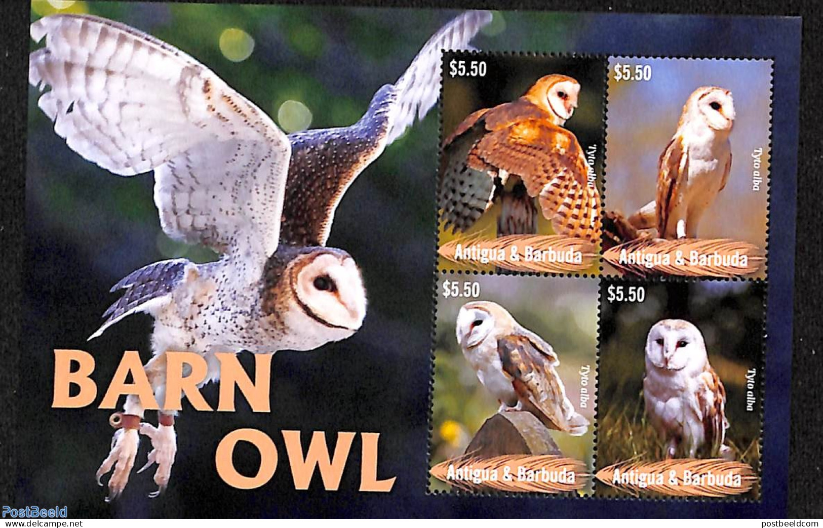 Antigua & Barbuda 2023 Barn Owl 4v M/s, Mint NH, Nature - Birds - Owls - Antigua Et Barbuda (1981-...)