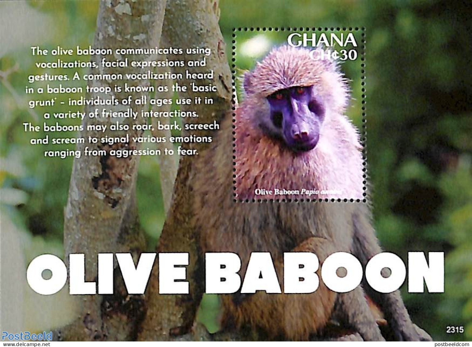 Ghana 2023 Olive Baboon S/s, Mint NH, Nature - Monkeys - Autres & Non Classés
