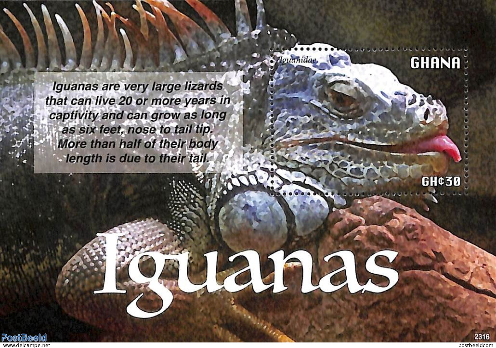 Ghana 2023 Iguanas S/s, Mint NH, Nature - Reptiles - Autres & Non Classés