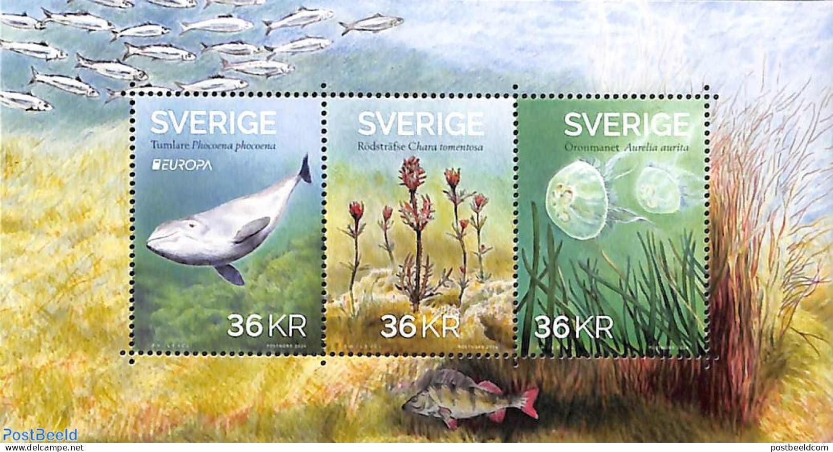 Sweden 2024 Europa, Marine Life S/s, Mint NH, History - Nature - Europa (cept) - Fish - Unused Stamps