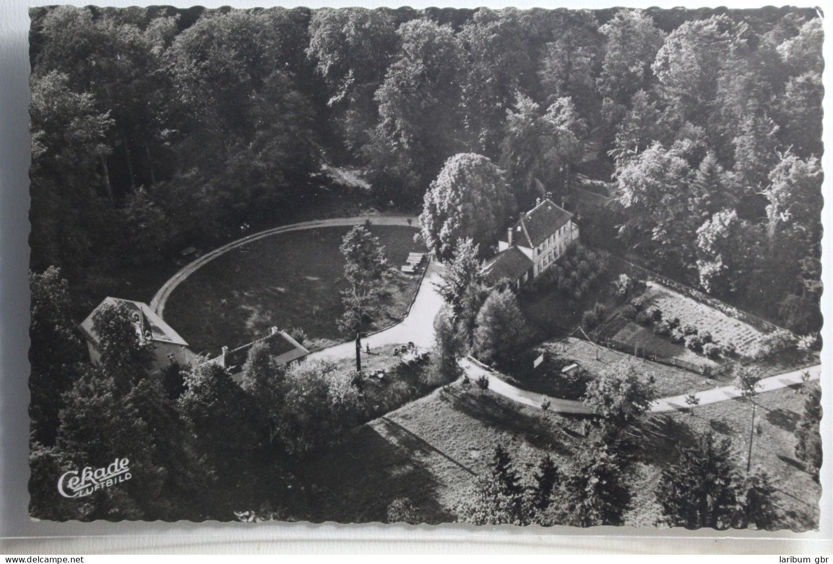 AK Hainhaus Im Odenwald (ates Römerkastell) - Waldgaststätte Ungebraucht #PG910 - Andere & Zonder Classificatie