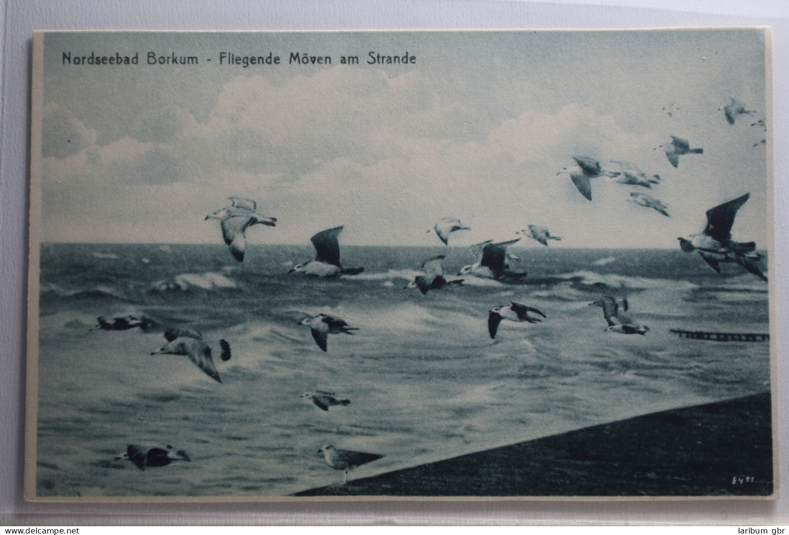 AK Nordseebad Borkum Fliegend Möven Am Strand Ungebraucht #PH740 - Sonstige & Ohne Zuordnung