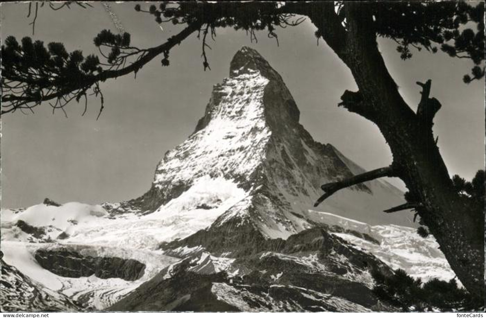 11298602 Zermatt VS Rifelalp Matterhorn Zermatt - Autres & Non Classés
