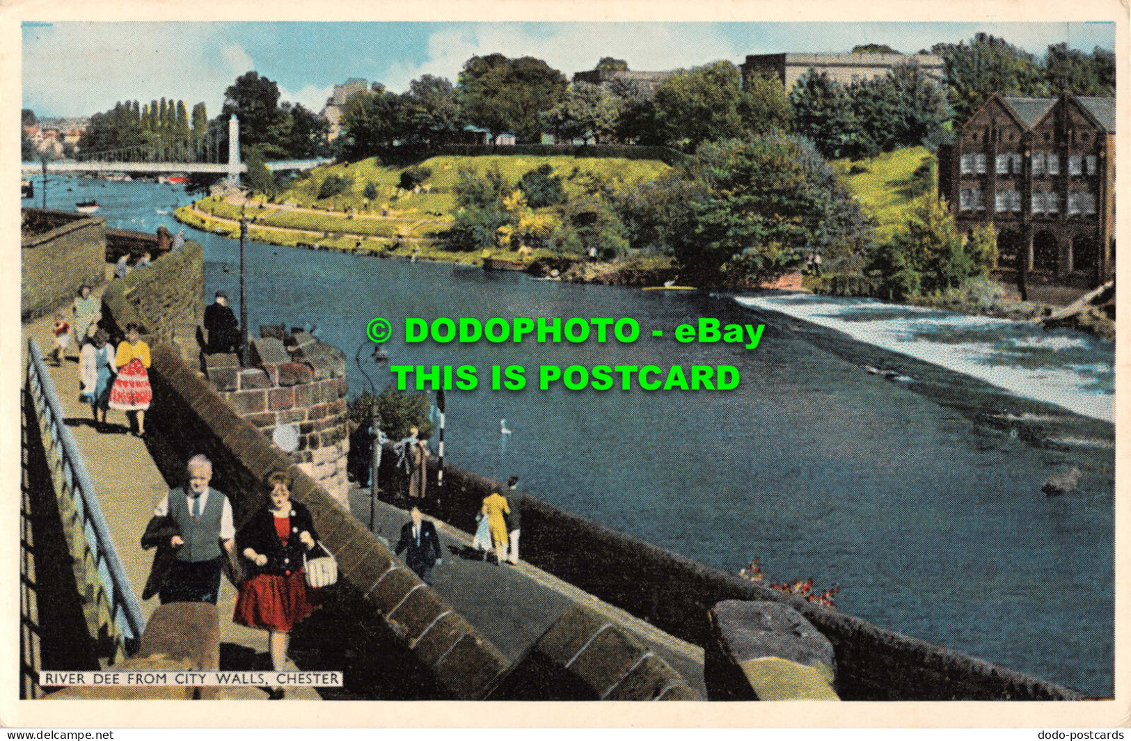 R555272 River Dee From City Walls. Chester. Dennis. C.1217. Newcolour - Monde