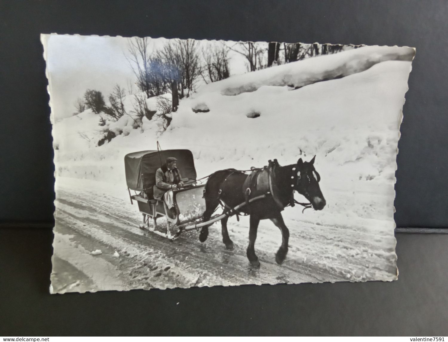 74  - CP -     LA CLUSAZ   " Promenade Traineau à  Cheval "   Circule 1963 -    Net    4 - La Clusaz