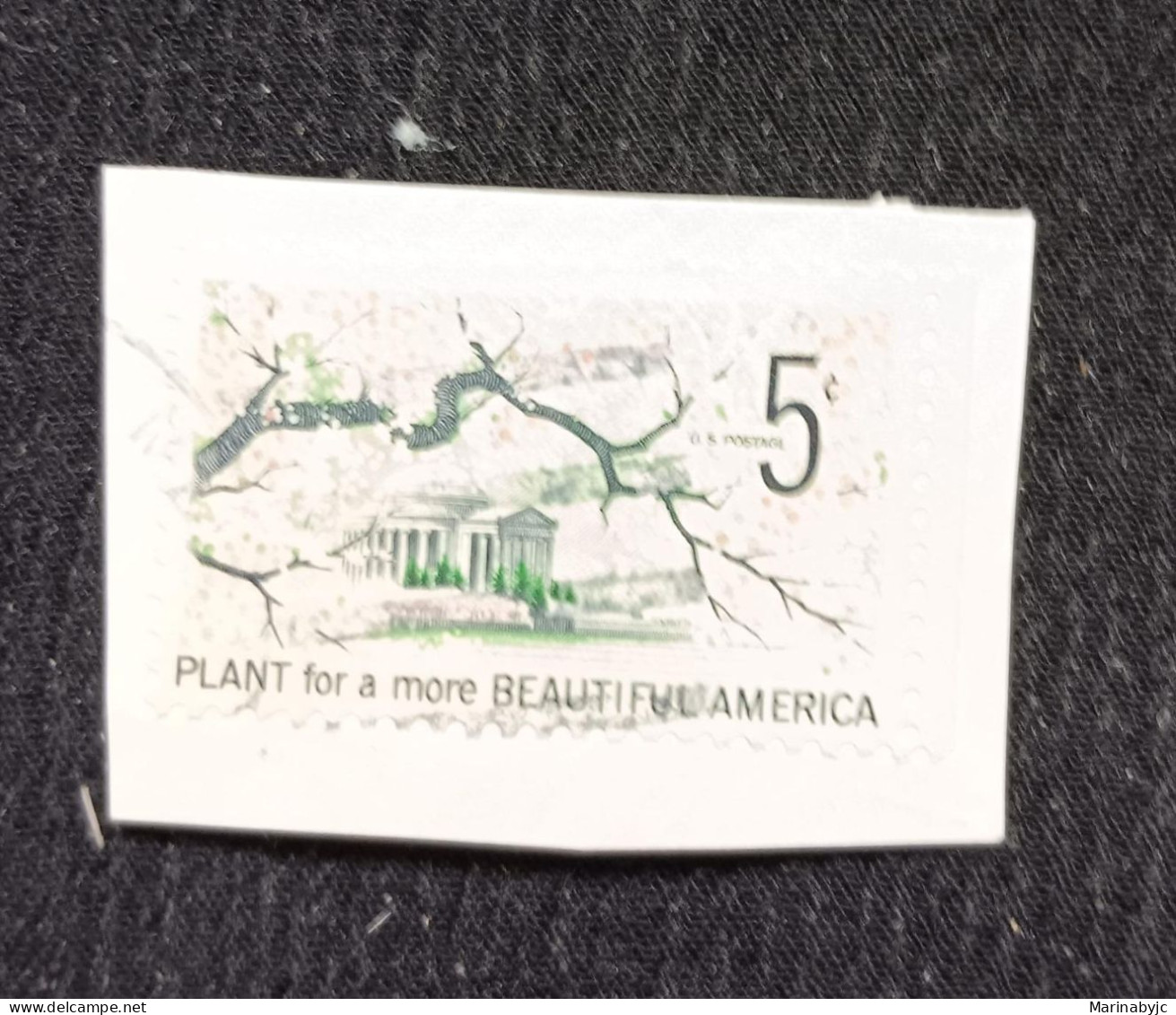 C) 1080. 1966. UNITED STATES. CHERRY TREE IN FRONT OF THE CAPITOL. ACK. USED. - Other & Unclassified