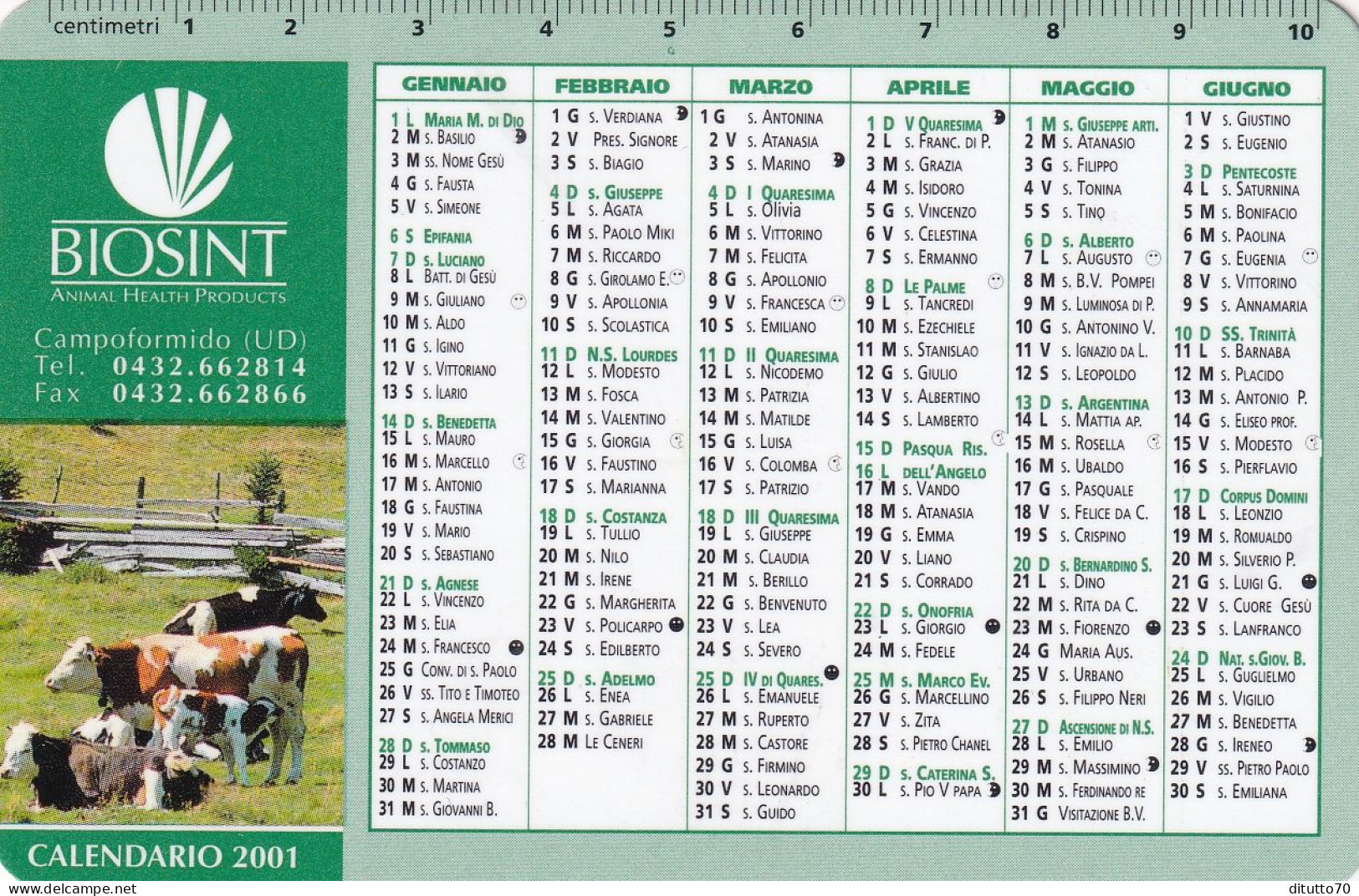 Calendarietto - Biosint - Campoformido - Udine - Anno 2001 - Kleinformat : 2001-...