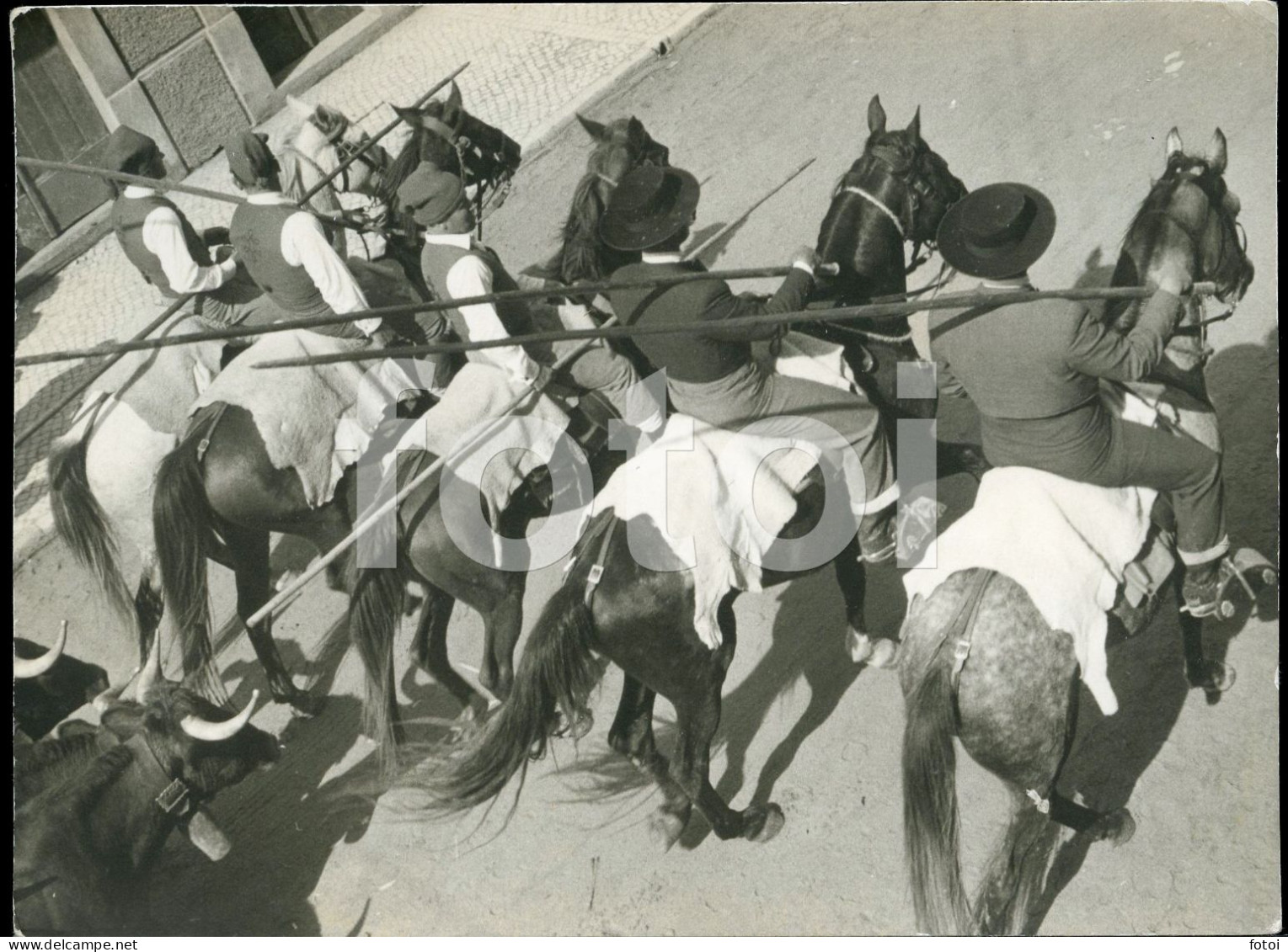 60s ORIGINAL AMATEUR PHOTO FOTO HORSE HORSES CHEVAL CAVALOS CAMPINOS RIBATEJO PORTUGAL AT410 - Places