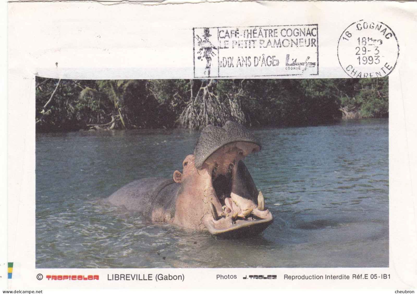 GABON. LIBREVILLE (ENVOYE DE). " LE PONT DE LIANES A FRANCEVILLE ".  .ANNEE 1993+ TEXTE + ENVELOPPE + TIMBRE - Gabon