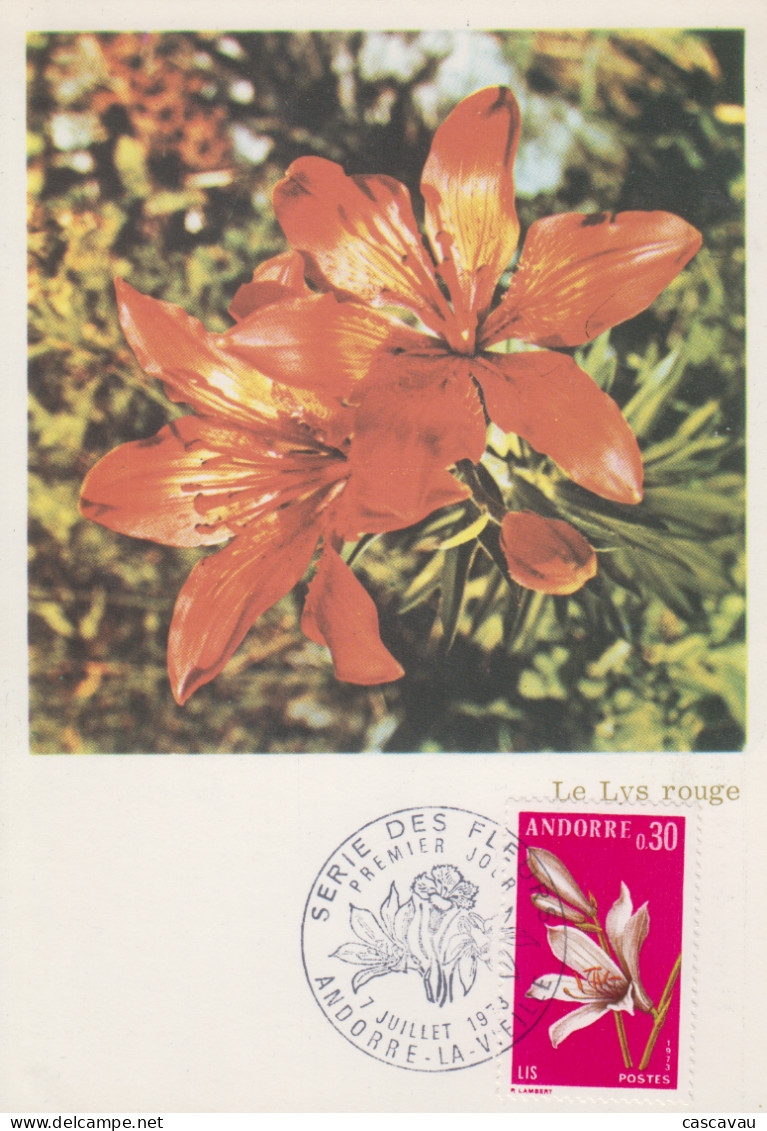 Carte  Maximum  1er  Jour  ANDORRE   Flore  :  LYS  ROUGE   1973 - Other & Unclassified