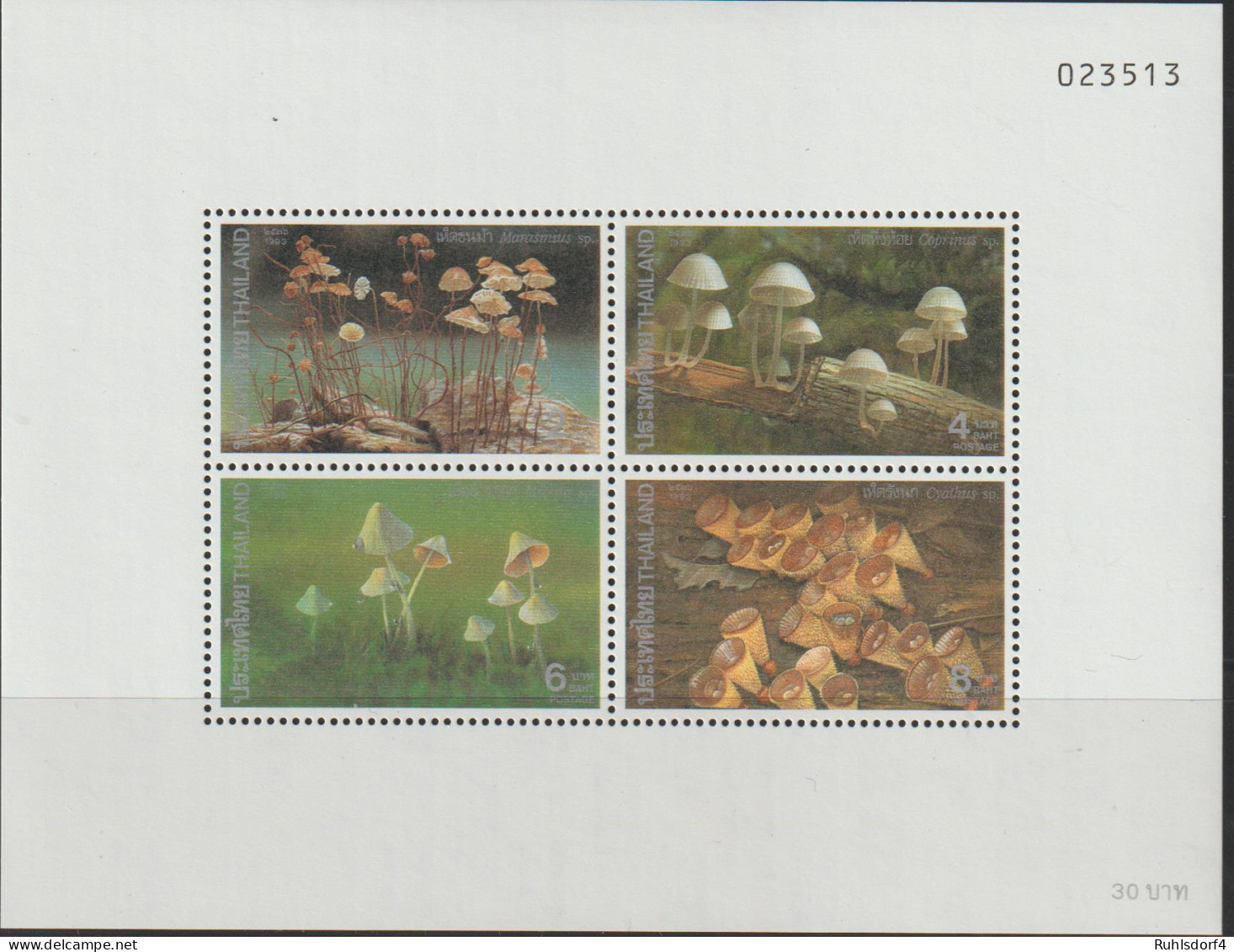 Pilze; Thailand Block 1993 2011, ** - Mushrooms