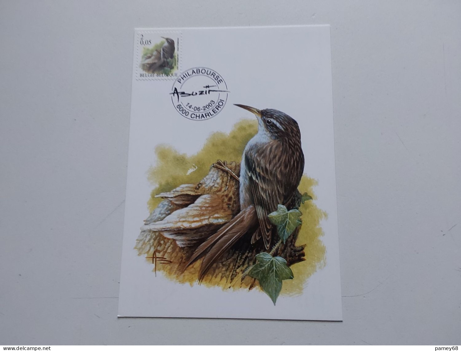 Carte Maximum Oiseaux De Buzin Avec Oblitération Temporaire 14.06.2003 Grimpereau Des Jardins - 1985-.. Vogels (Buzin)