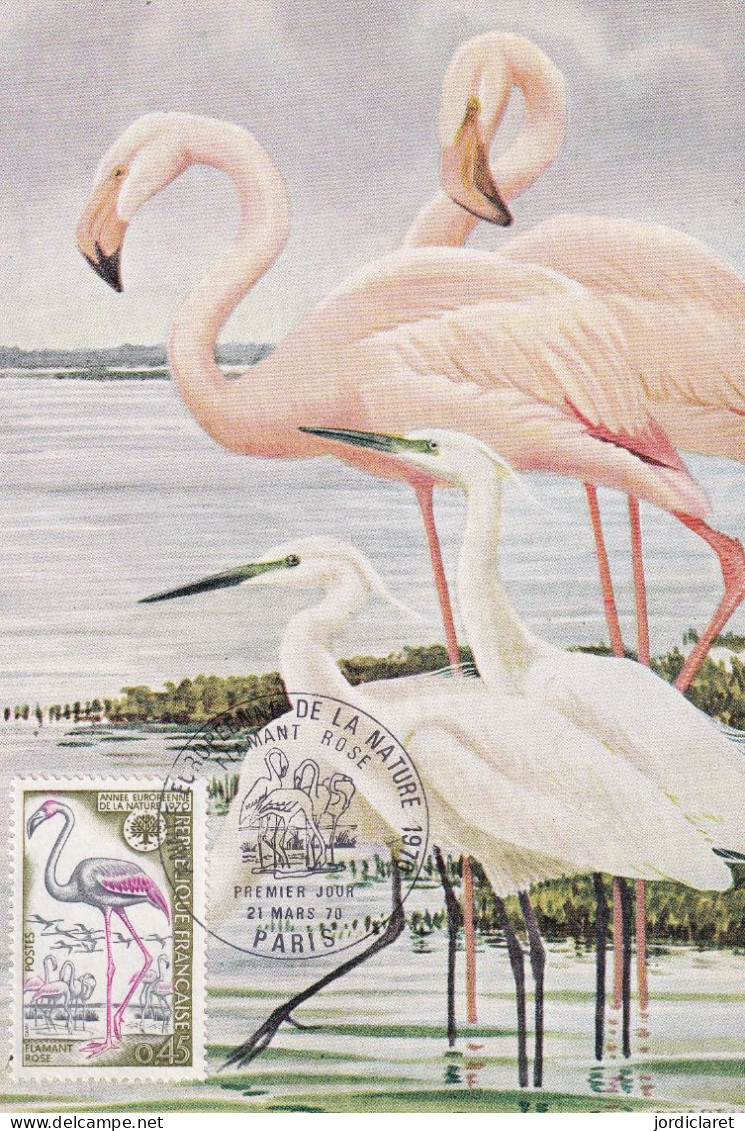 MAXIMA 1970  FRANCIA - Flamingos