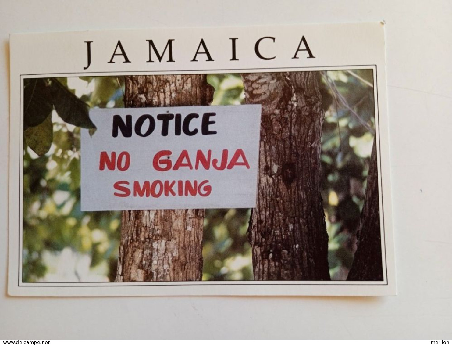 D202876    CPM  AK - JAMAICA  No Ganja Smoking - Jamaica