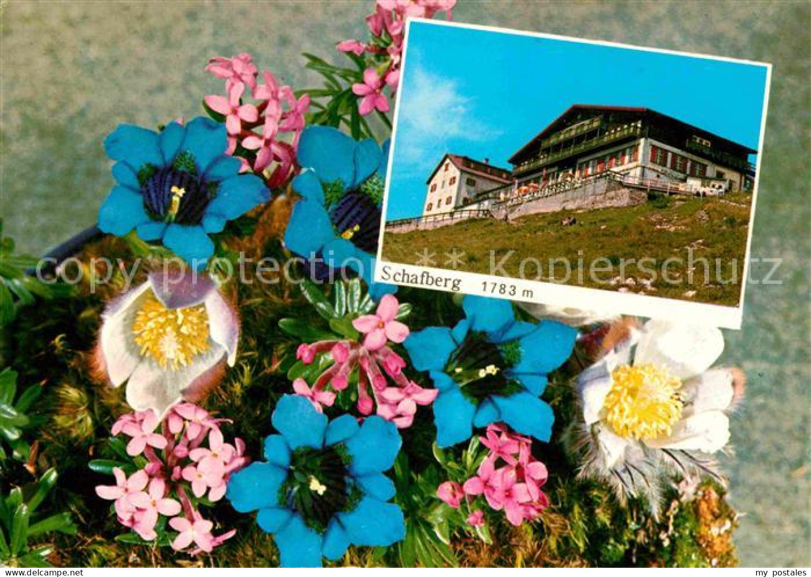 72626748 St Wolfgang Wolfgangsee Berghotel Restaurant Auf Dem Schafberg Alpenblu - Andere & Zonder Classificatie