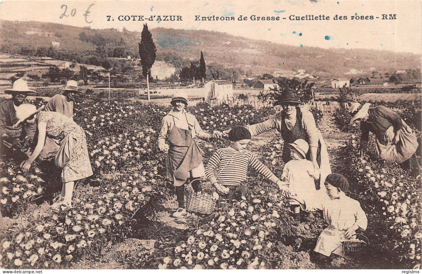 06-GRASSE-CUEILLETTE DES ROSES-N°2150-F/0309 - Grasse