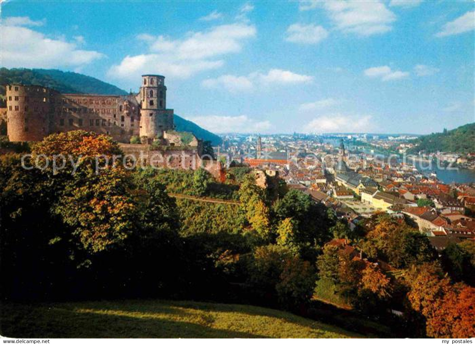 72625606 Heidelberg Neckar Schloss  Heidelberg - Heidelberg