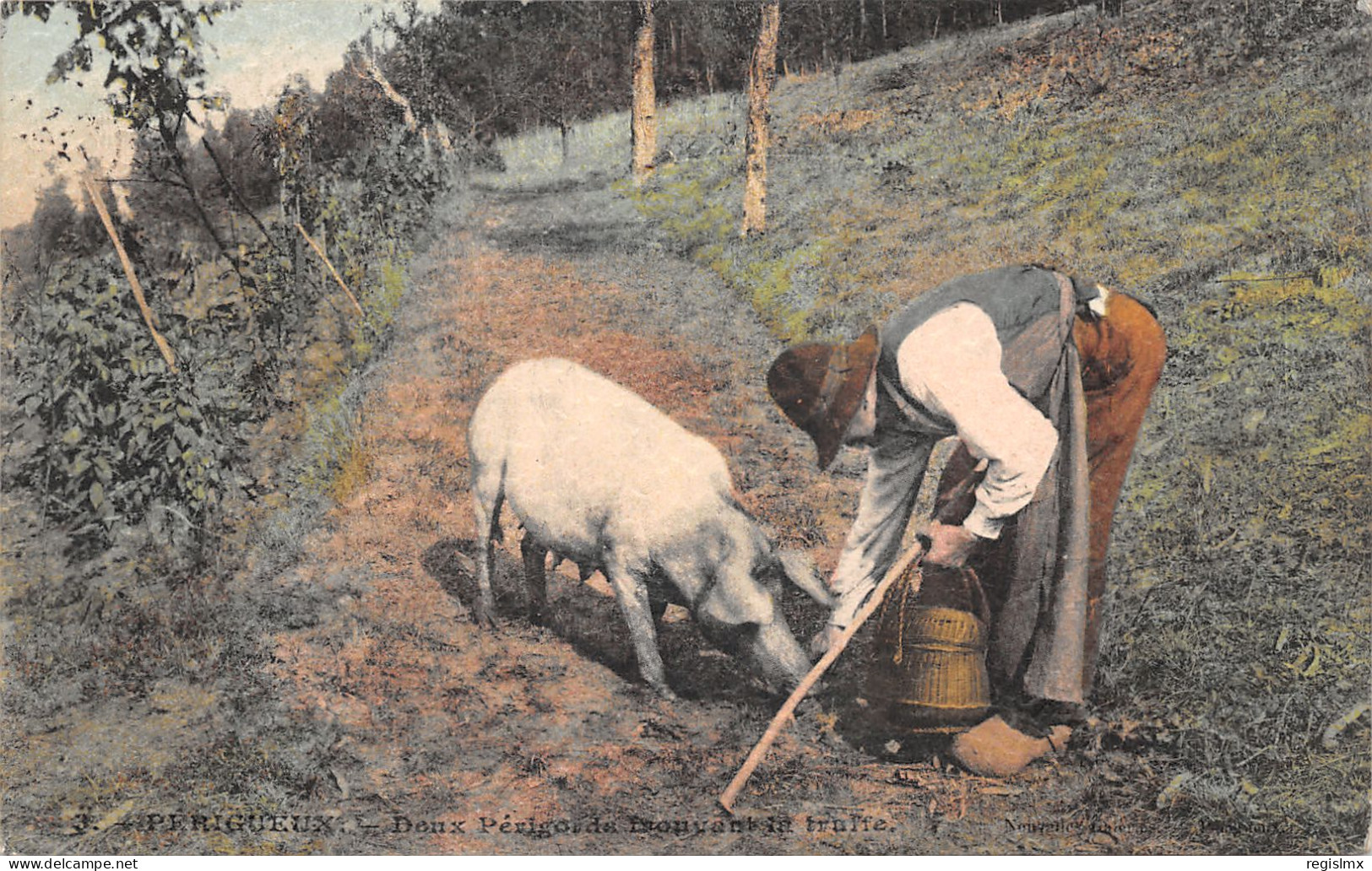 24-PERIGUEUX-LA RECHERCHE DES TRUFFES-N°2152-D/0101 - Périgueux