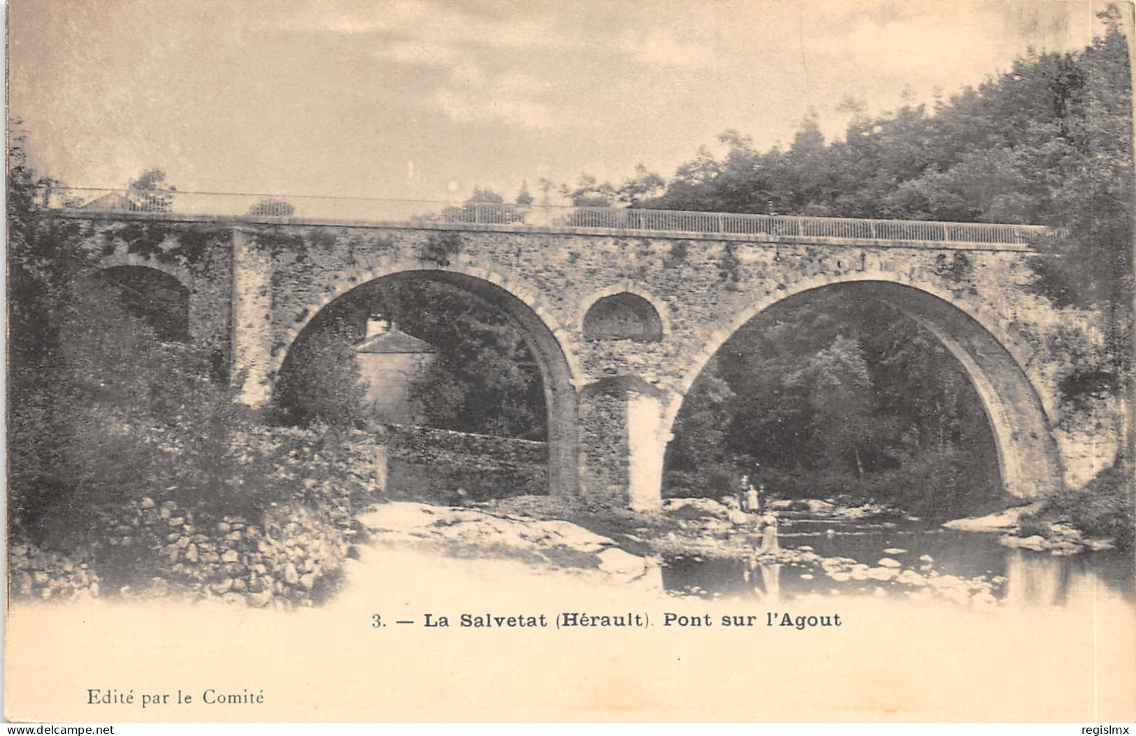 34-LA SALVETAT SUR AGOUT-PONT SUR L AGOUT-N°2153-D/0321 - La Salvetat