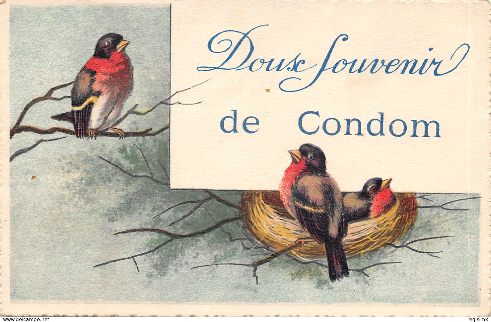32-CONDOM-N°2153-C/0257 - Condom