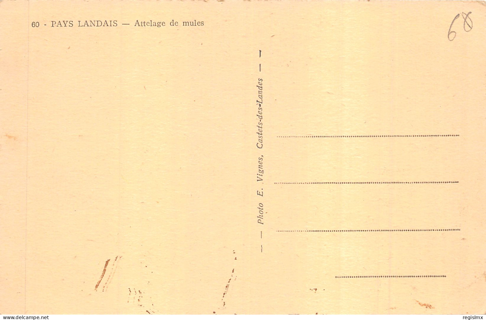 40-SCENE DES LANDES-ATTELAGE DE MULES-N°2153-H/0167 - Sonstige & Ohne Zuordnung