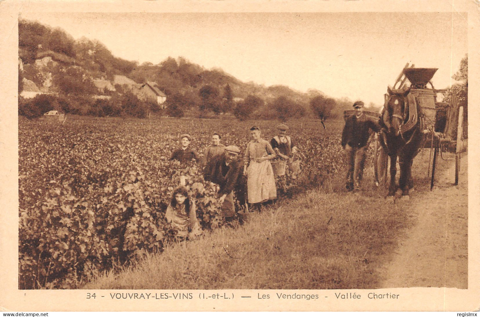 37-VOUVRAY-LES VENDANGES-VALLEE CHARTIER-N°2153-F/0381 - Sonstige & Ohne Zuordnung
