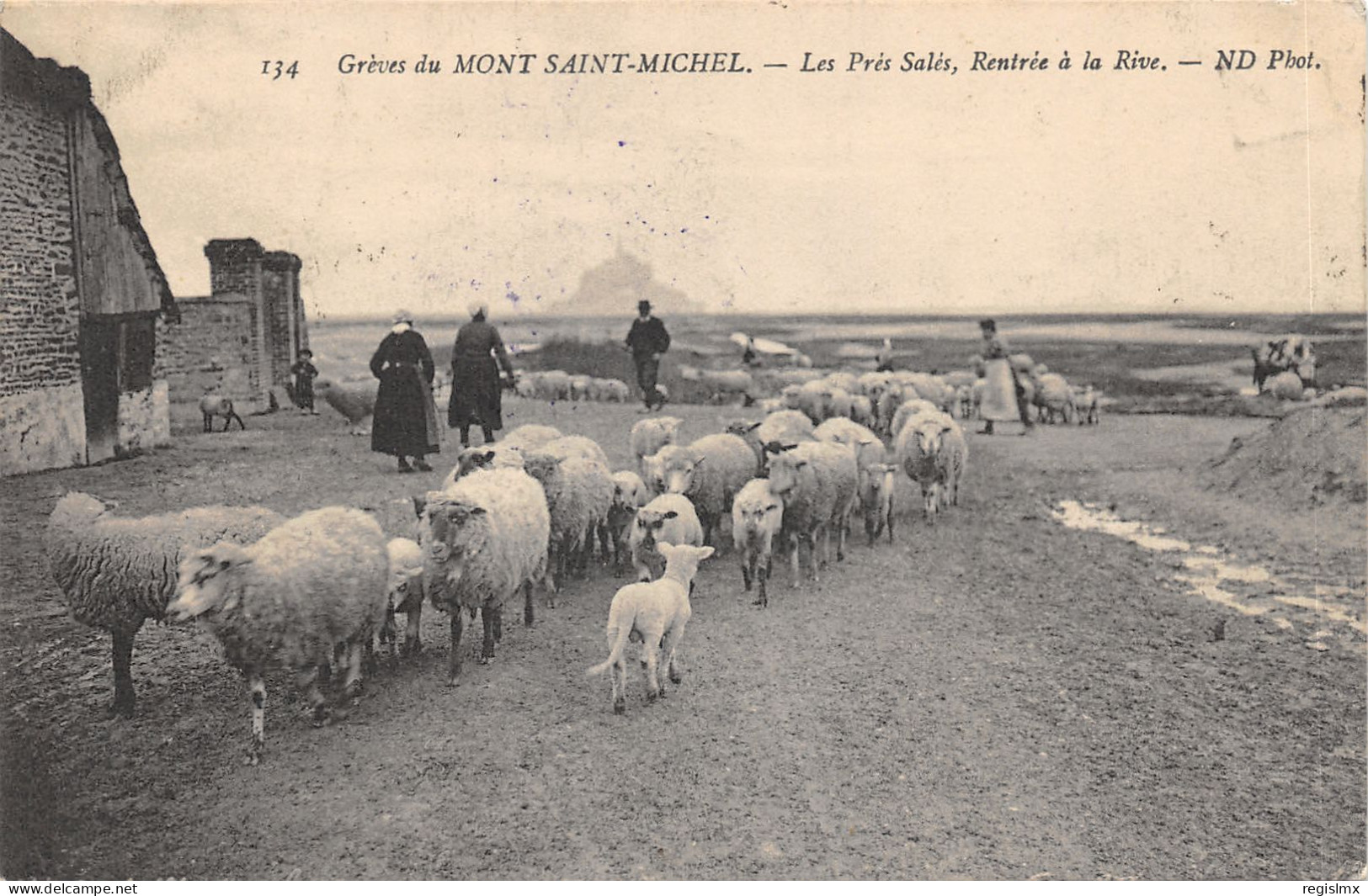 50-LE MONT SAINT MICHEL-LES GREVES DEPART DU TROUPEAU-N°2155-A/0061 - Le Mont Saint Michel