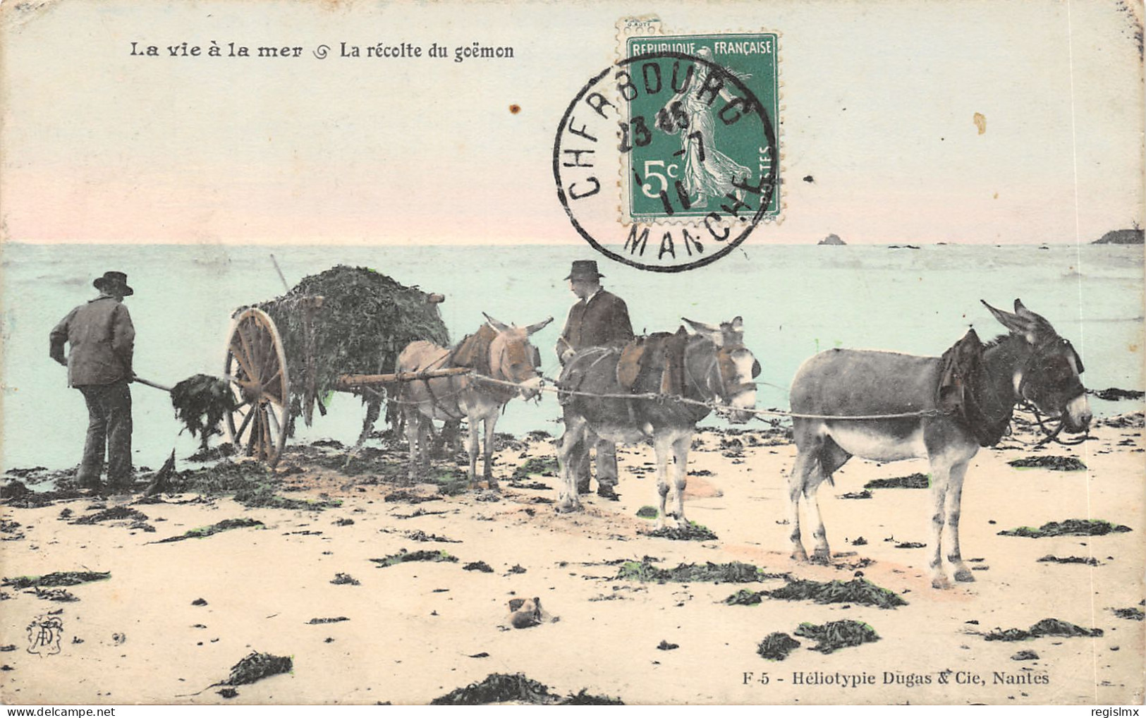 50-CHERBOURG-RECOLTE DU GOEMON-N°2155-A/0009 - Cherbourg