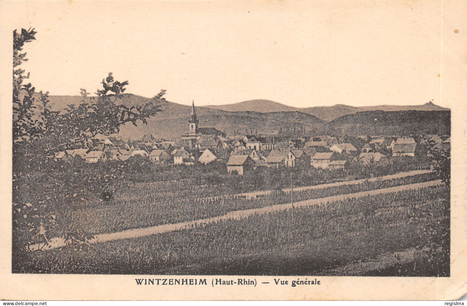 68-WINTZENHEIM-N°2157-B/0287 - Wintzenheim