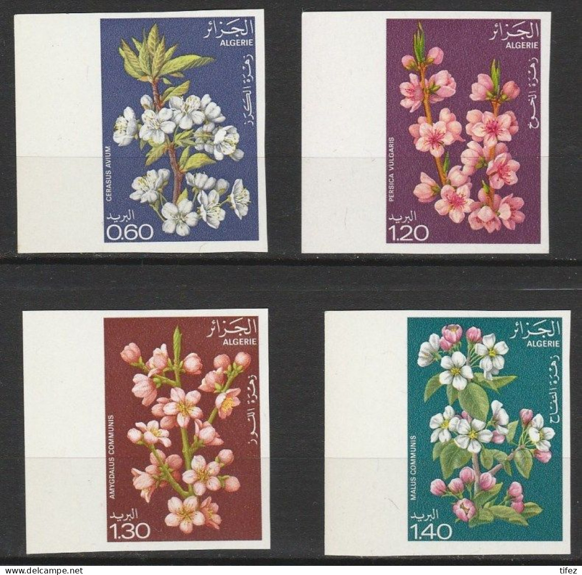 Non-dentelé/Année 1978-N°679/682 Neufs**MNH/imperforate : Fleurs D'arbres : Série Complète : (mg1) - Algeria (1962-...)