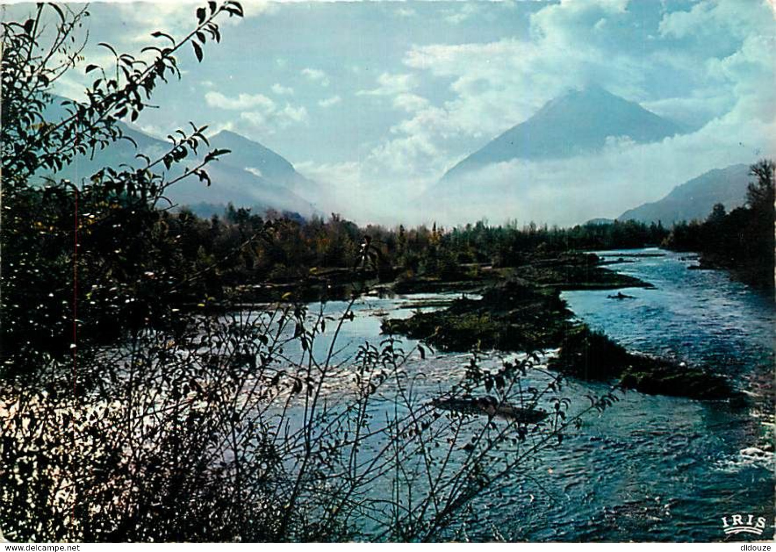 65 - Argelès Gazost - Le Gave Et Le Viscos (2141 M.) Vus Du Pont De Tilhos - CPM - Voir Scans Recto-Verso - Argeles Gazost