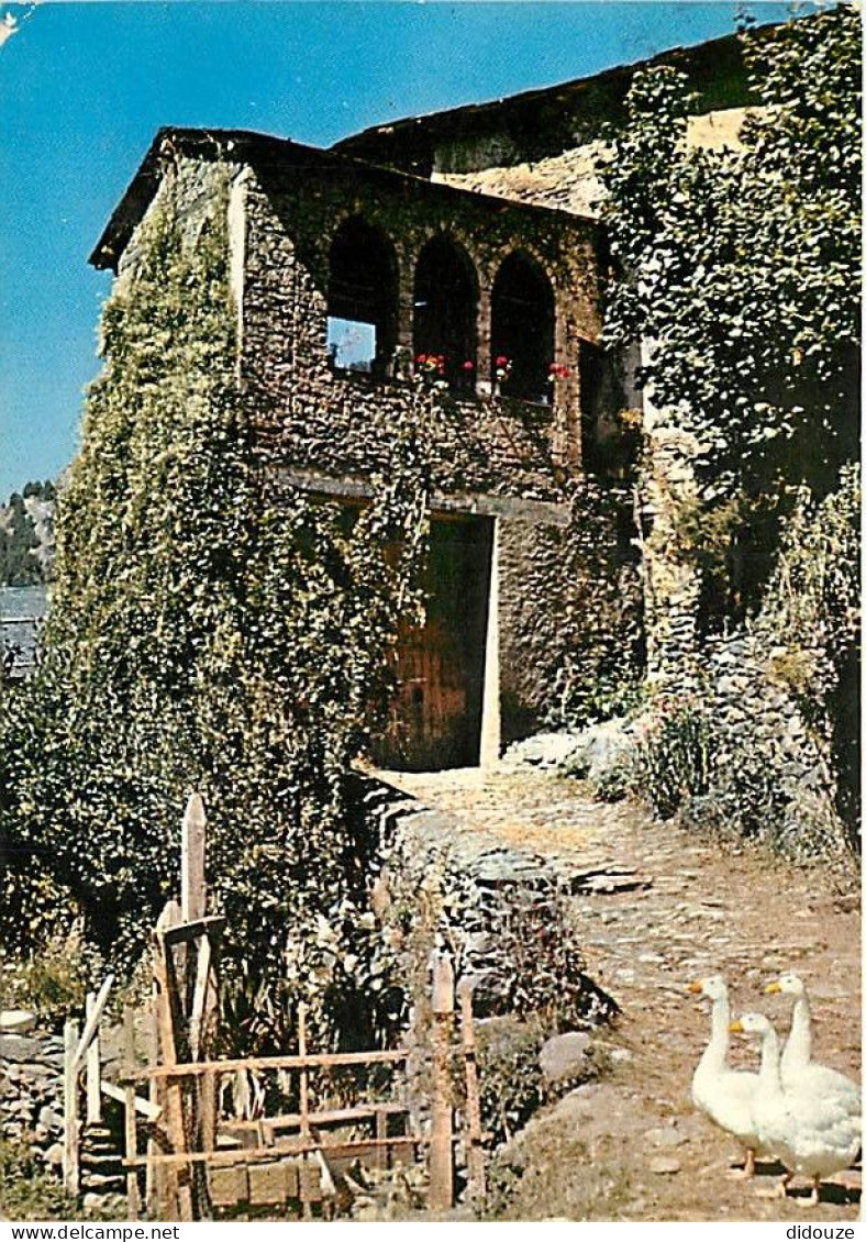 30 - Gard - Les Cévennes - Vieux Mas Cévenol - Oies - CPM - Voir Scans Recto-Verso - Andere & Zonder Classificatie