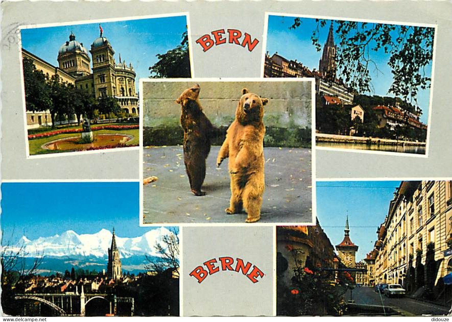 Animaux - Ours - La Fosse Aux Ours De Berne - Multivues - Zoo - Bear - Carte Dentelée - CPSM Grand Format - Voir Scans R - Bären