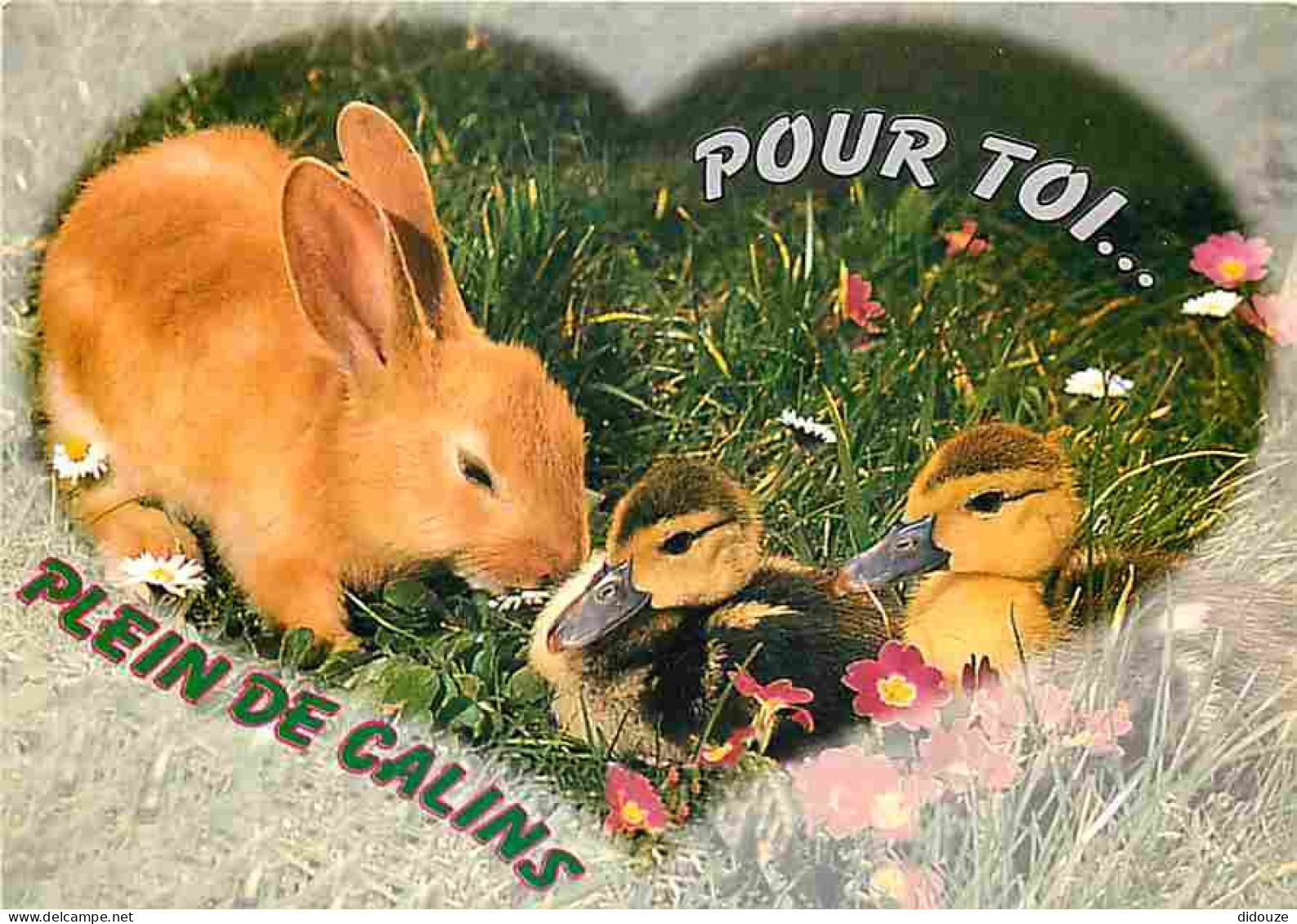 Animaux - Lapins - Canards - CPM - Voir Scans Recto-Verso - Andere & Zonder Classificatie